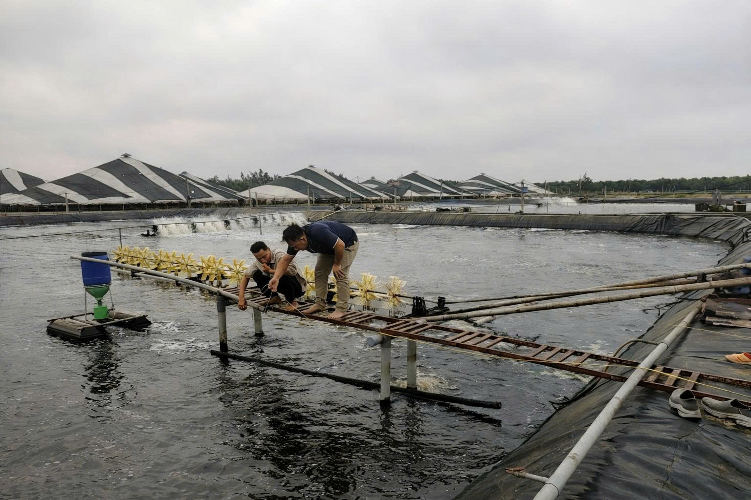 Đội ngũ kỹ thuật QUẢNG CÁO THANH PHONG
